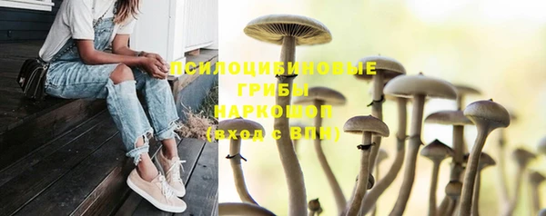 Альфа ПВП Дмитровск