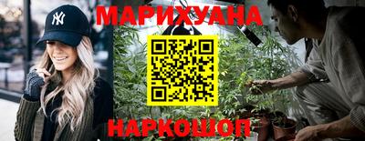 сатива Краснодар