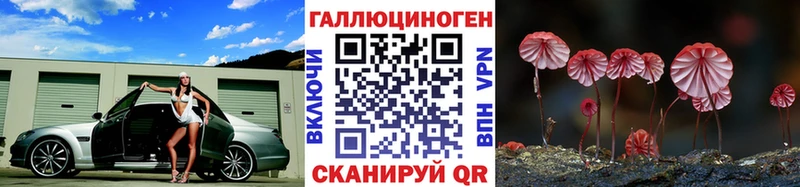 где купить наркоту  Калининград  Галлюциногенные грибы мухоморы 