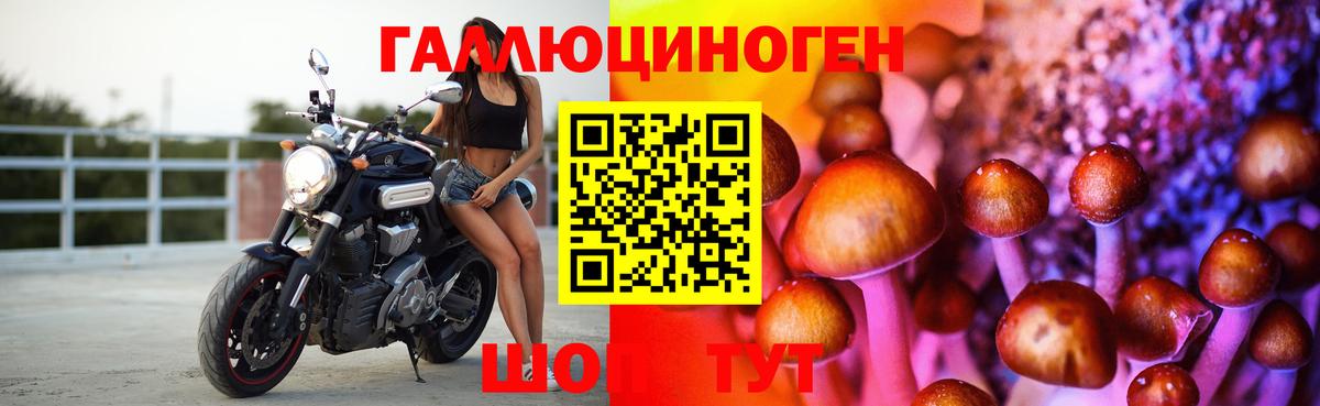 Псилоцибиновые грибы Magic Shrooms Калининград