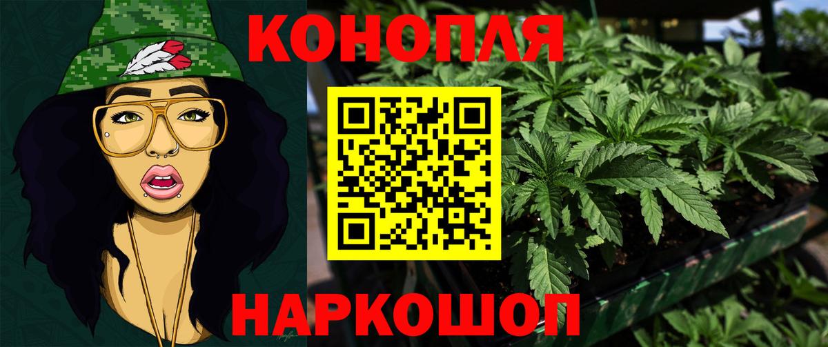 Бошки Шишки LSD WEED  Вход с VPN  Бошки Шишки OG Kush  Калининград  Бошки Шишки Amnesia 
