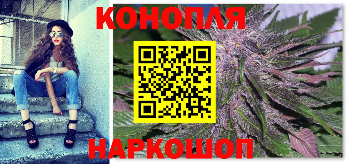 Конопля план Калининград